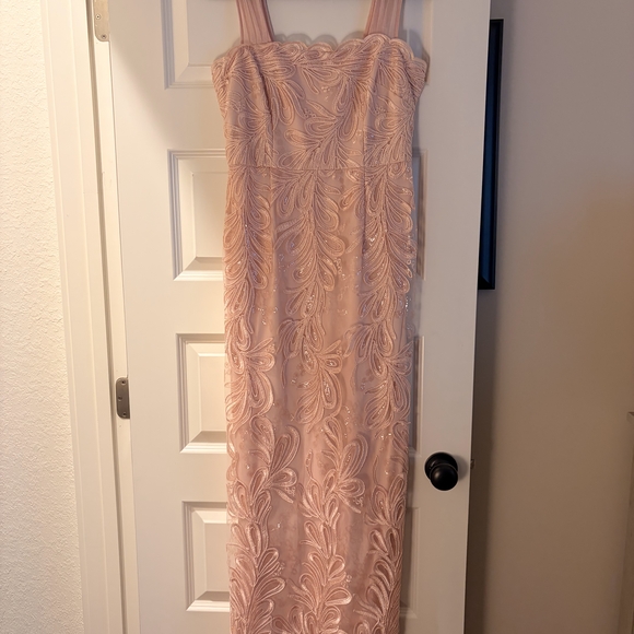 Adrianna Papell Blush Pink Embroidered Maxi Dress - Picture 1 of 4